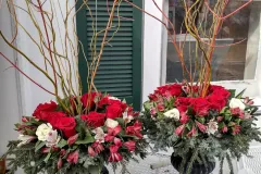 IMG_20221211_3