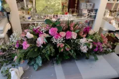 IMG_20230310_120758521