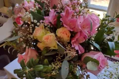 IMG_20230408_121748209_HDR