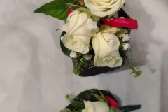 IMG_20220923_150059234