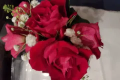 IMG_20220923_201157365