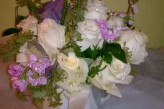 IMAG0256