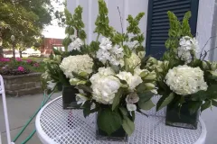 IMG_20200725_080310586